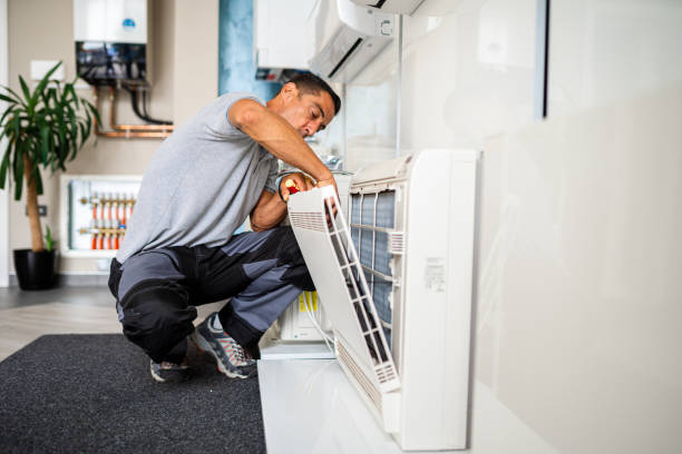 Air Duct Mold Removal in Leetsdale, PA